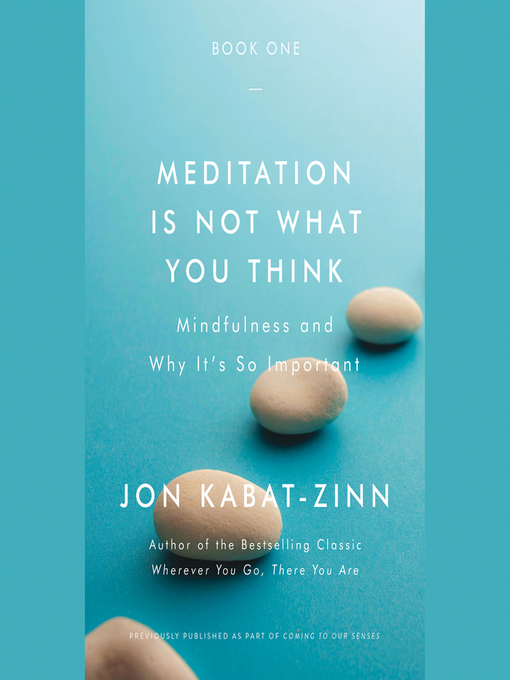 Title details for Meditation Is Not What You Think by Jon Kabat-Zinn - Wait list